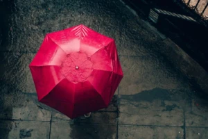 Bau Hujan dan Kita: Mengapa Aroma Petrichor Terasa Seperti Pulang ke Rumah