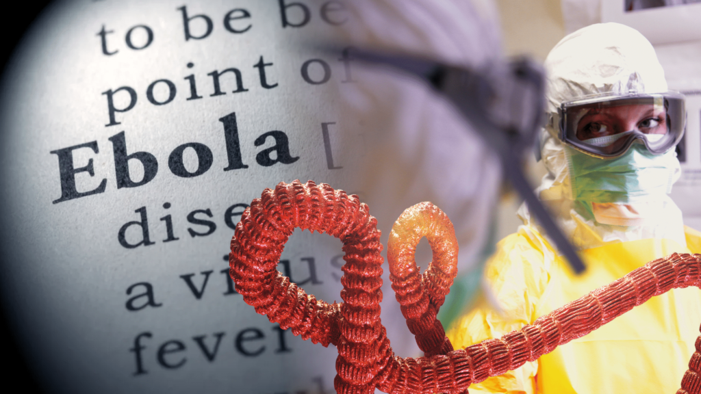 WHO Tetapkan Ebola Sebagai Darurat Dunia, Kita di Mana?